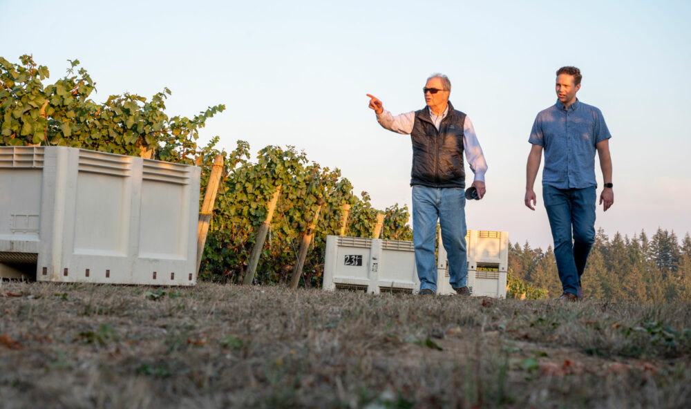 Dick and Peter Shea walking the vineyards